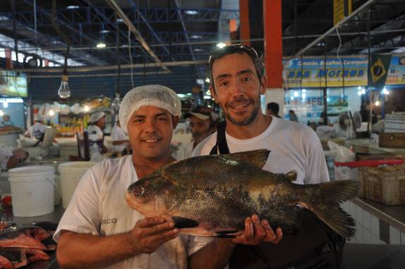 Visitando o mercado de peixes em Manaus - AM
